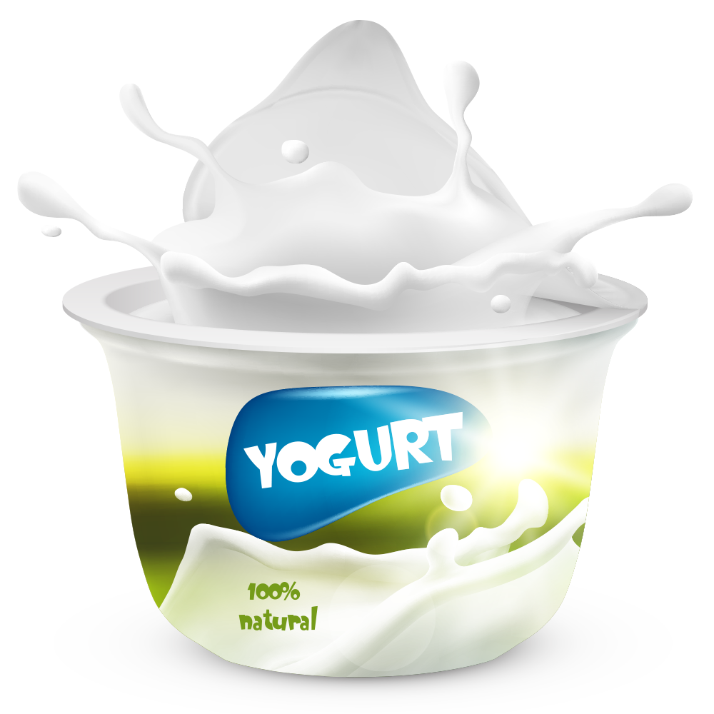 Yogurt Organic Bio