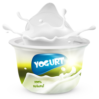 Yogurt Organic Bio