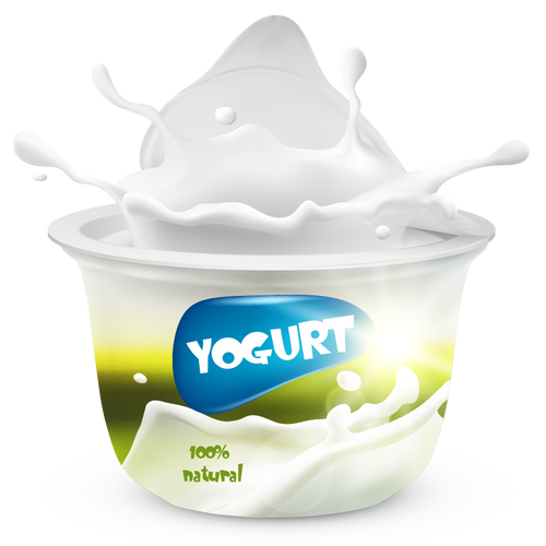 Yogurt Organic Bio