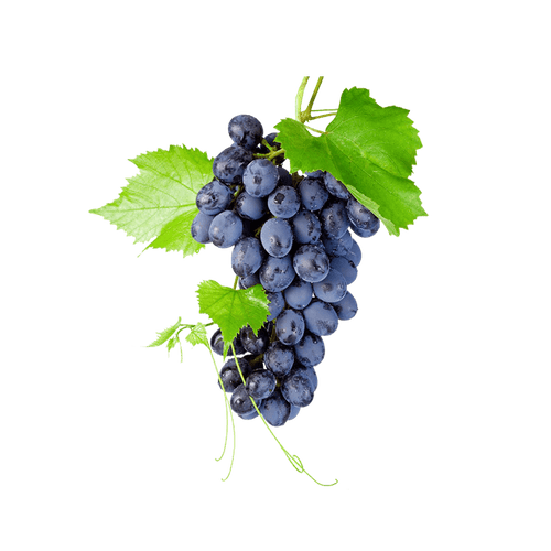 Black grapes