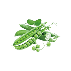 Pea