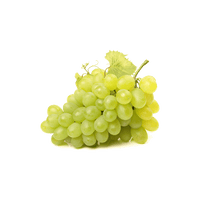 Seedless green grapes
